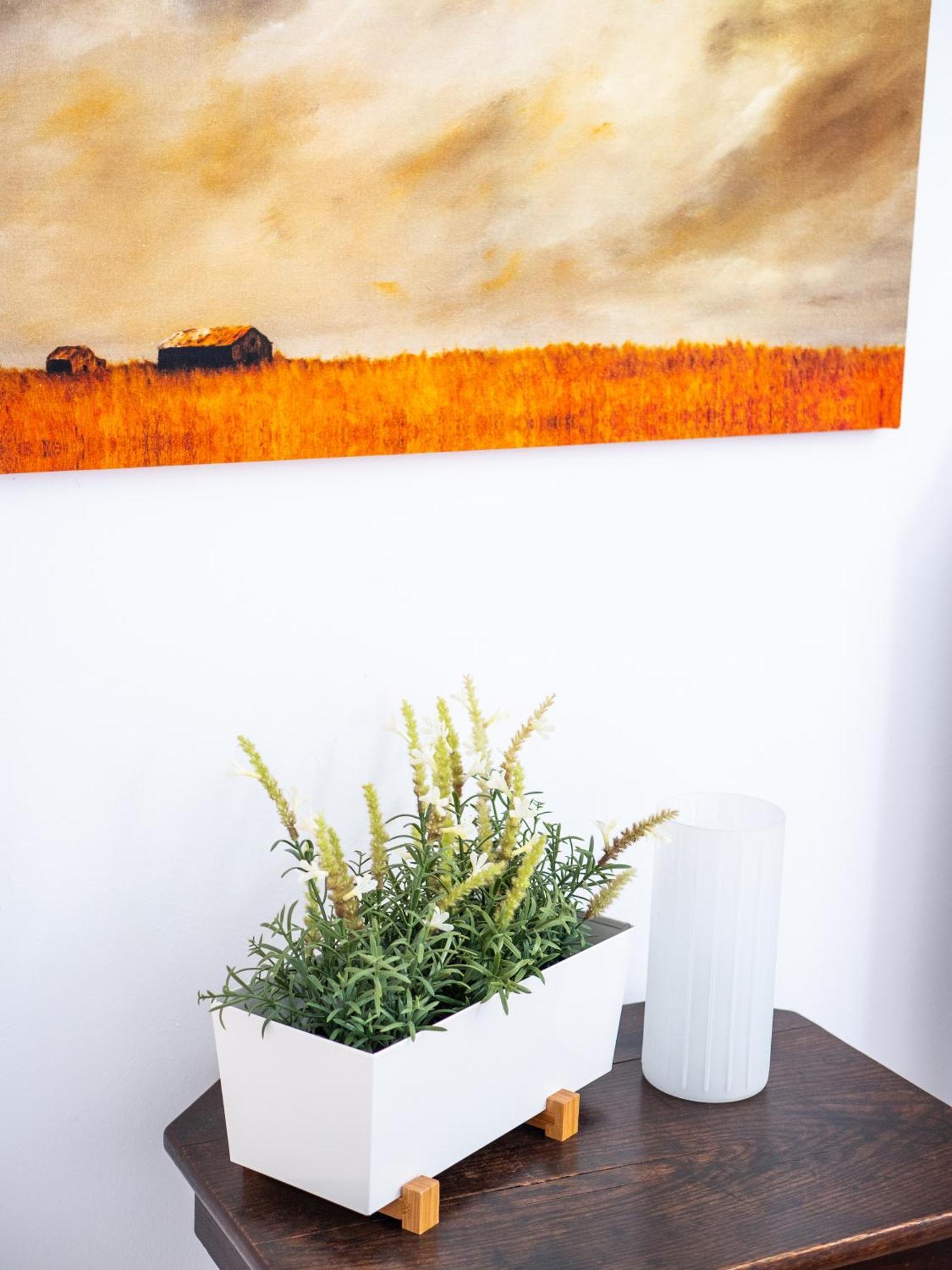 Casa Olina Apartment Bahia de Casares Phòng bức ảnh